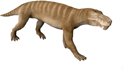 Gorgonopsid