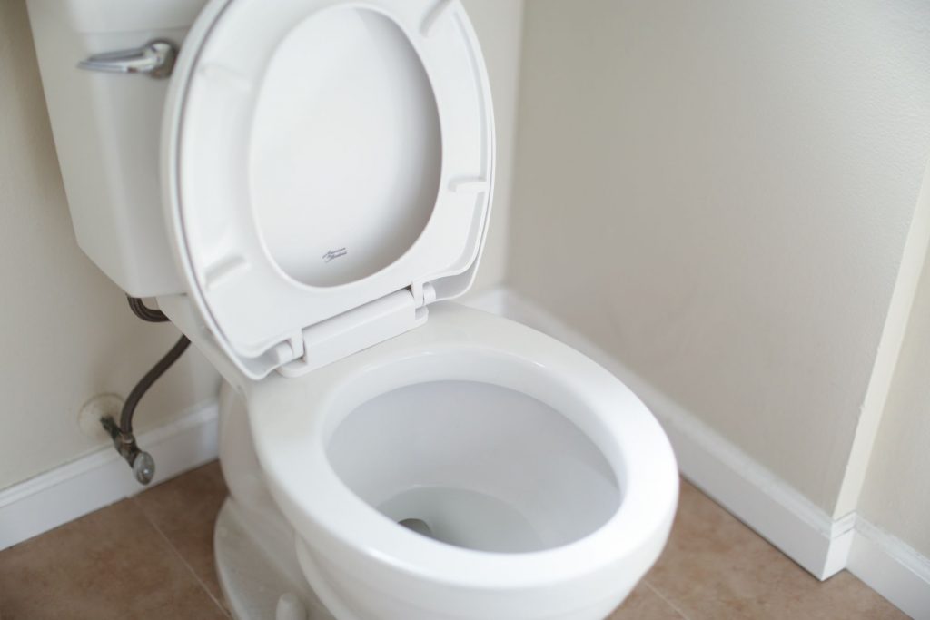 toilet for vomiting