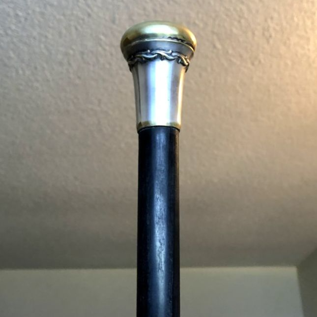 Prussian Cane - Silver Cane